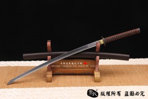 绝一武士