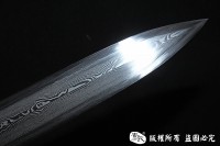 宝塔寒光剑